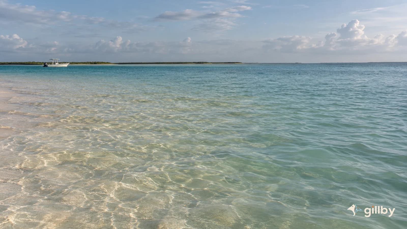 Pale sand under softly rippling shallow water with a distant boat and Gillby logo