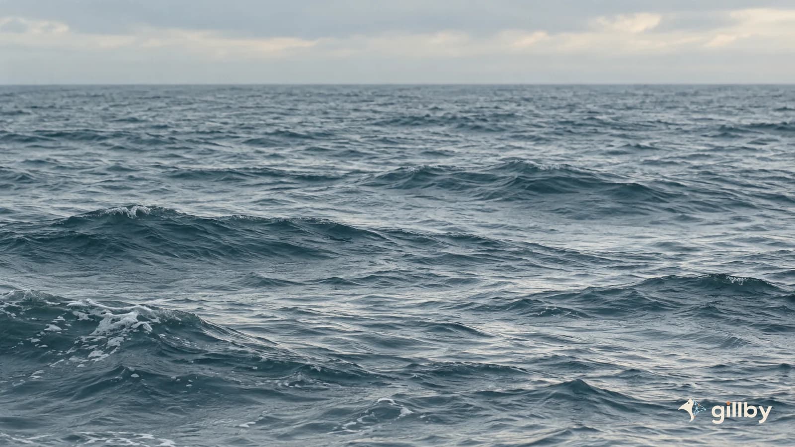 Muted blue Atlantic swells under a hazy sky, with Gillby branding