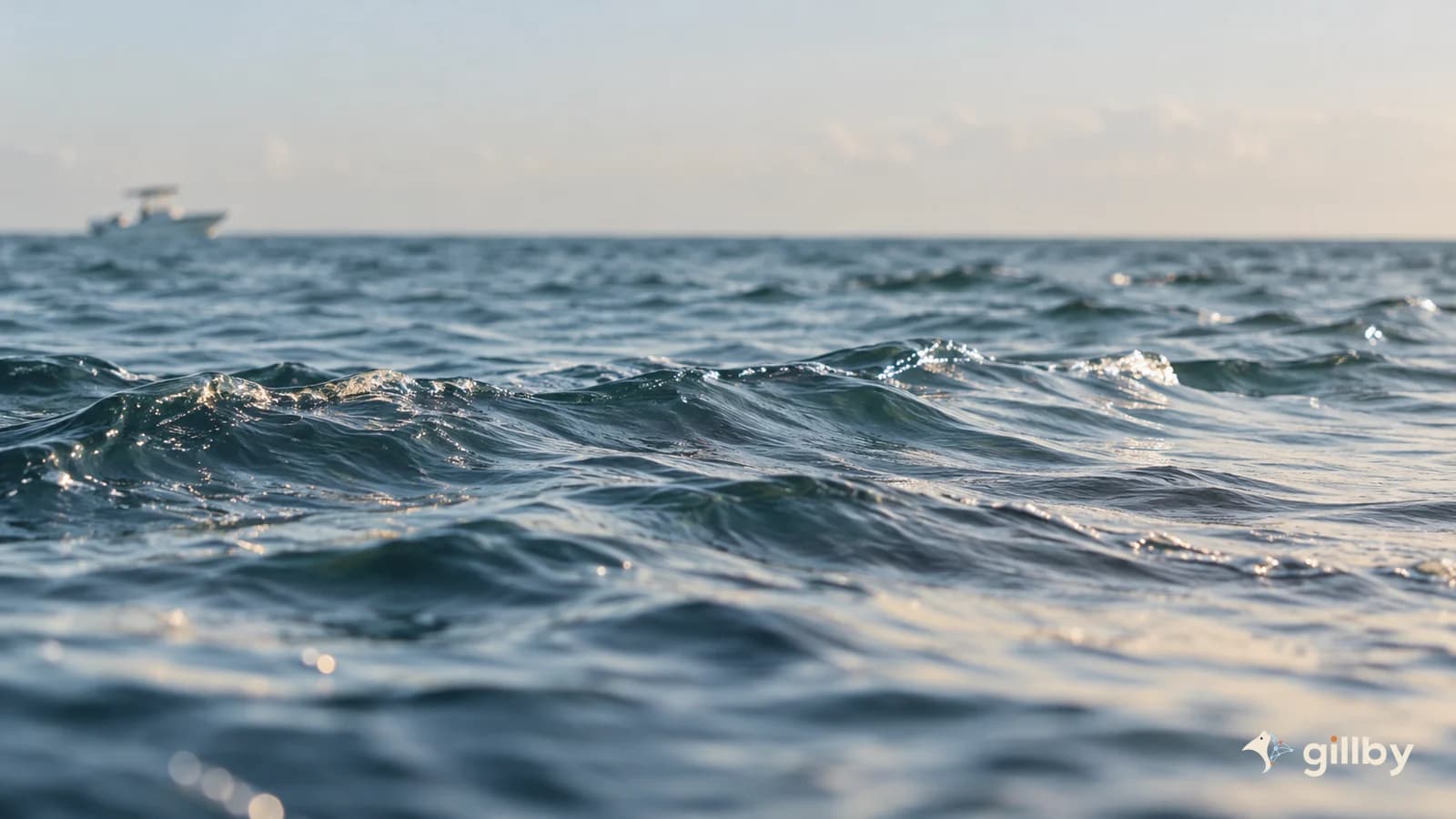 Small wind-driven waves with a distant boat softly out of focus