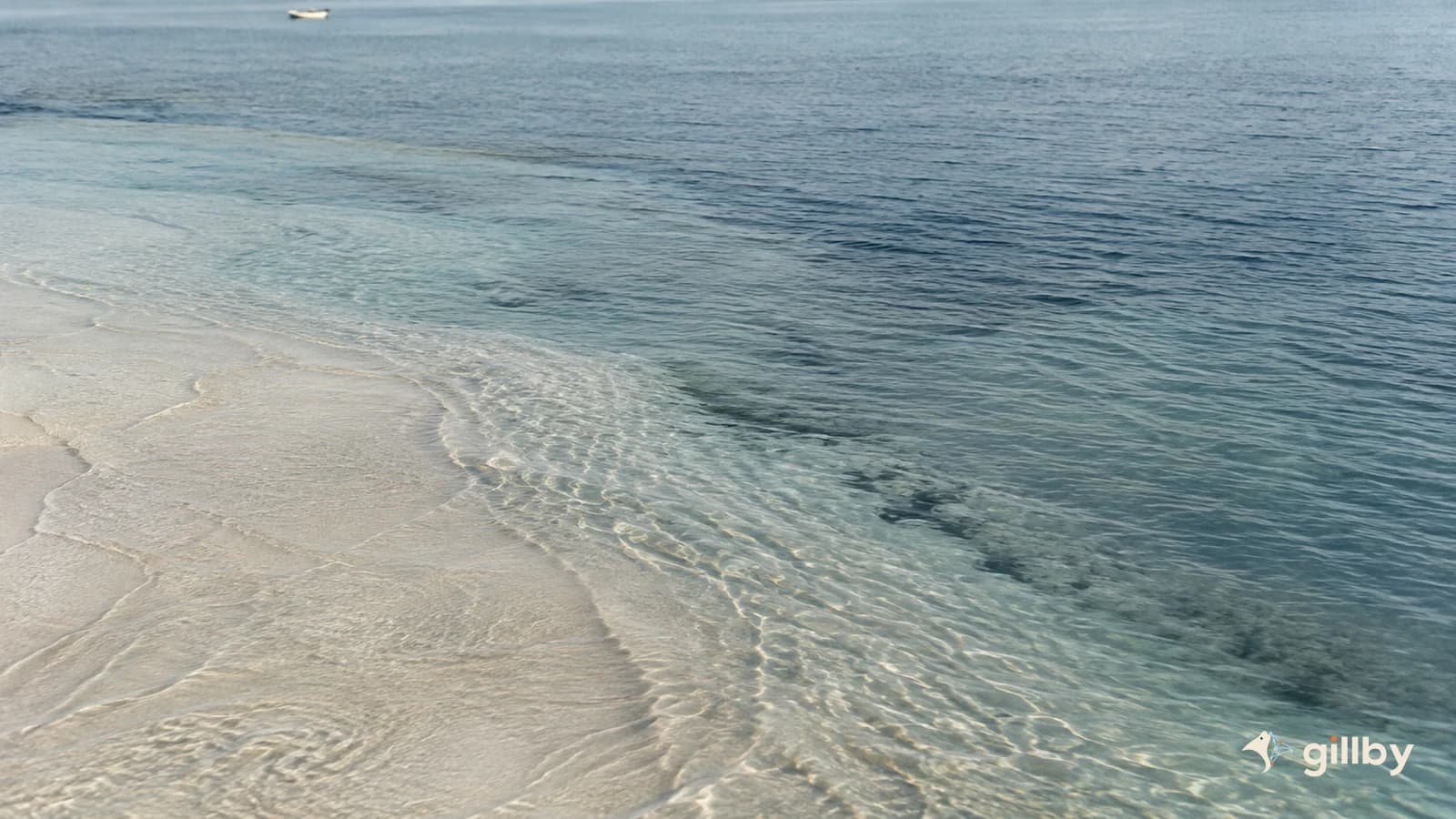 Subtle coastal water textures and a shallow sand edge, with Gillby branding